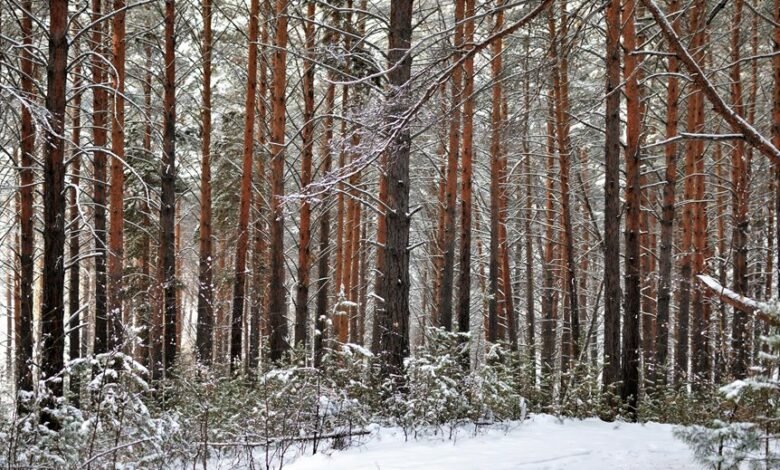 dropped calls poor coverage