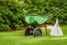 The Best Time To Mow, Water, And Fertilize Your Lawn