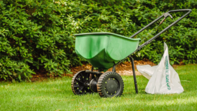 The Best Time To Mow, Water, And Fertilize Your Lawn