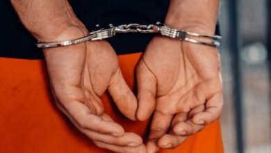 contact numbers for division